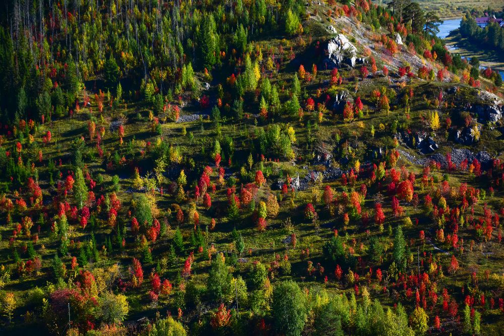 Фотография автора Злобин Сергей