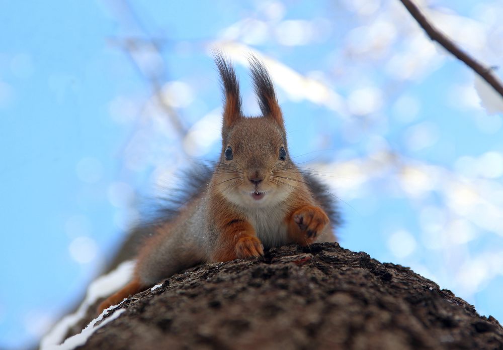 Photograph by Юрий Соколков