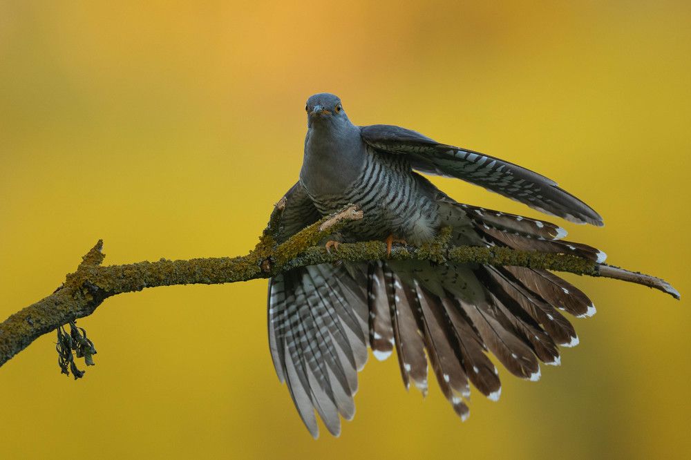 Photograph by Radosław Makowczyński