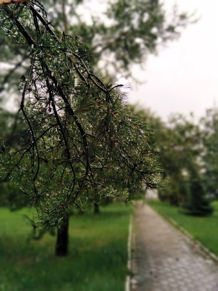 Photograph by Екатерина Чеснокова