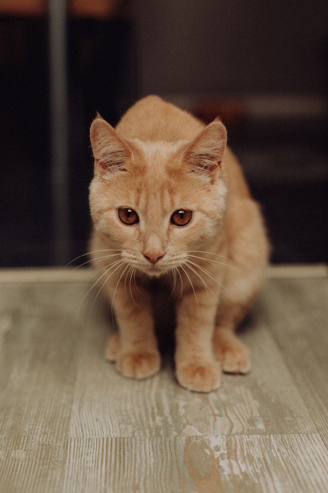 Photograph by Ксения