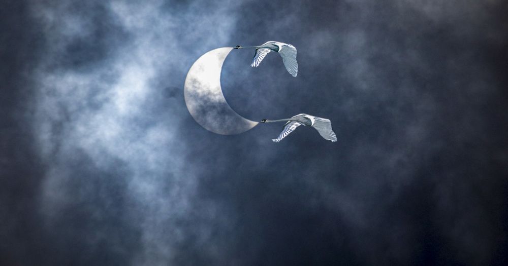 Photograph by Игорь Квочка