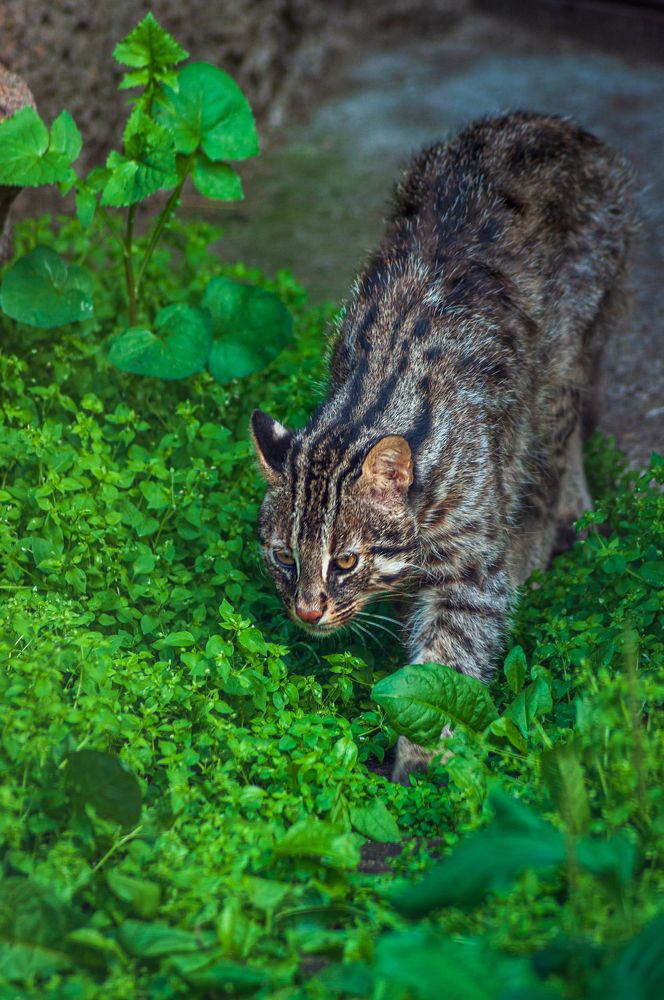 Photograph by Денис Кичев