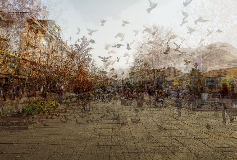 Photograph by sara shafigh