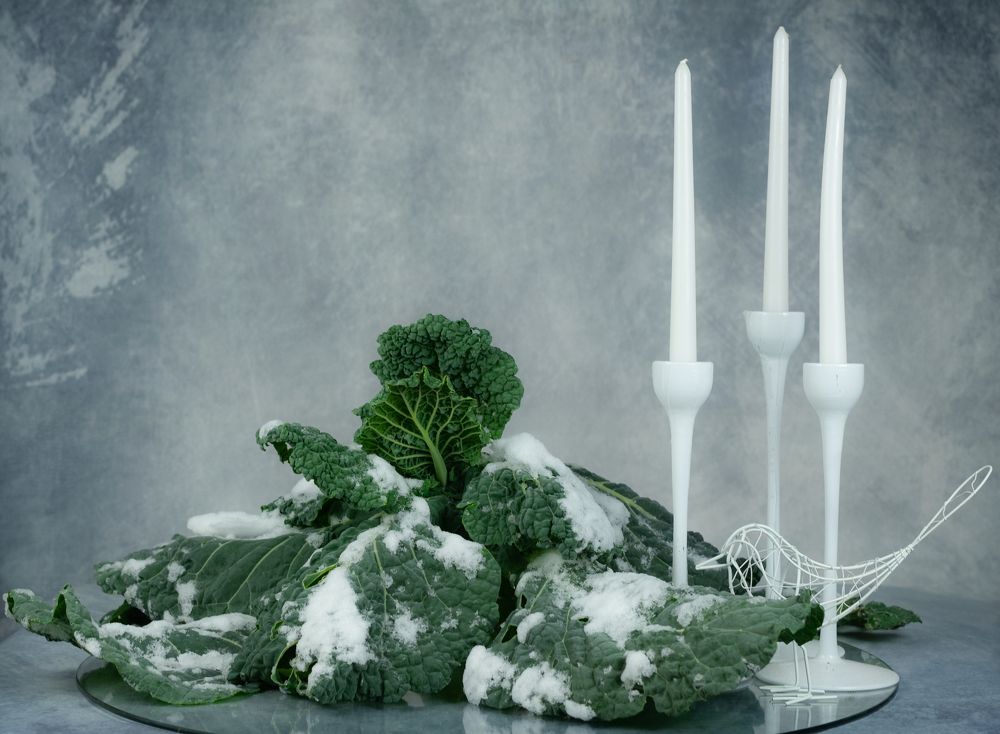 Photograph by Елена Куртеева