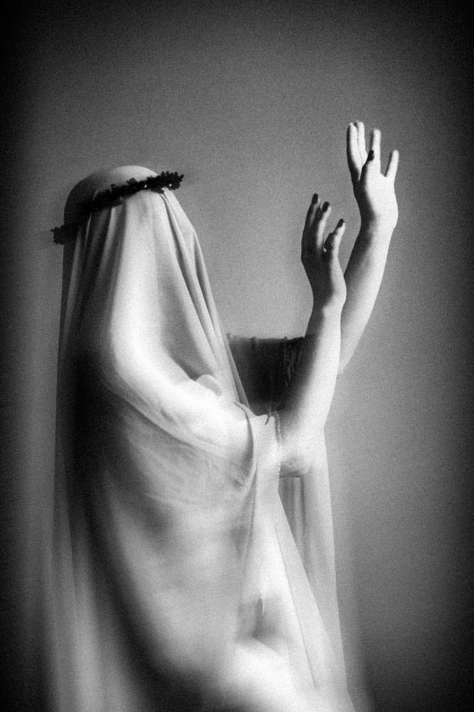 Photograph by Дмитрий Куликов