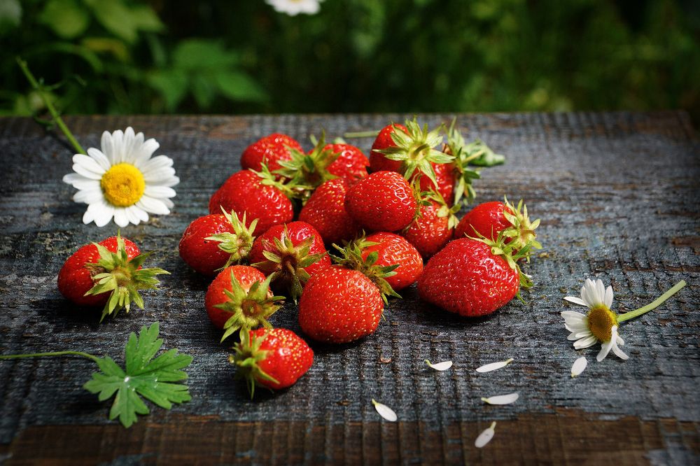 Photograph by Татьяна Елькина