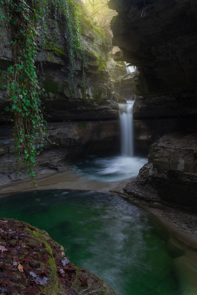 Фотография автора Adele Ferrari