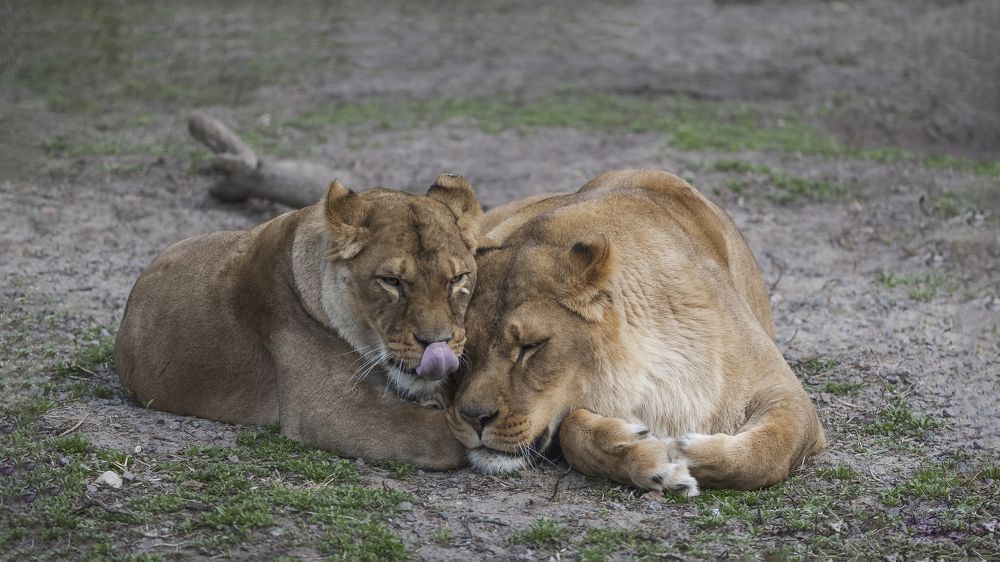 Photograph by Сергей Шпаков