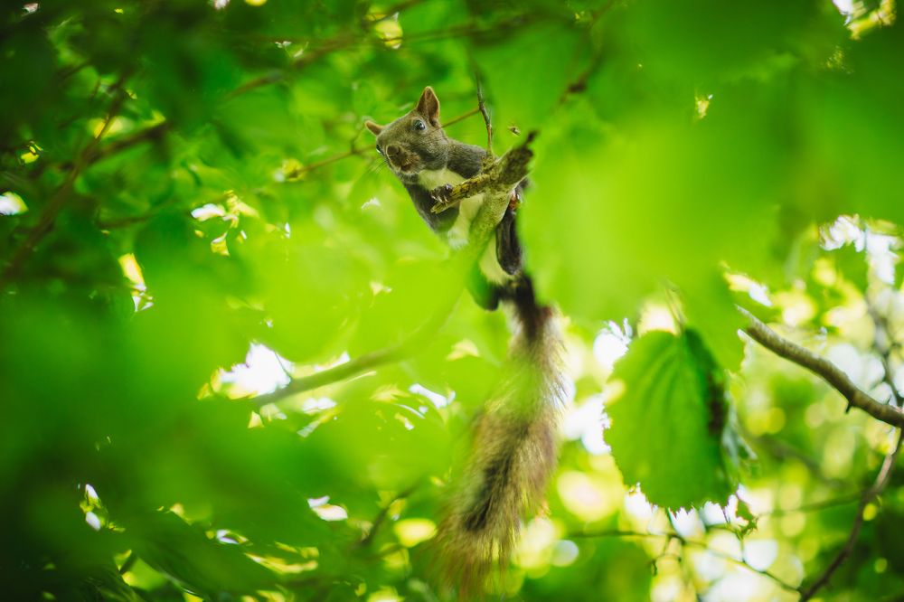 Photograph by Филипп Бабенко