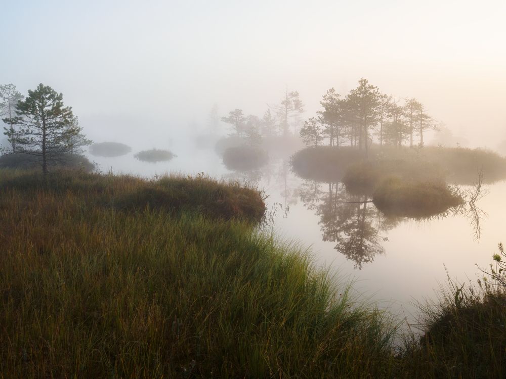 Фотография автора Андрей Врубель