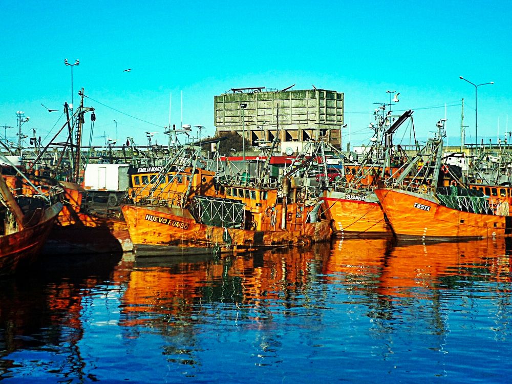 Photograph by Maria julieta ZURZOLO