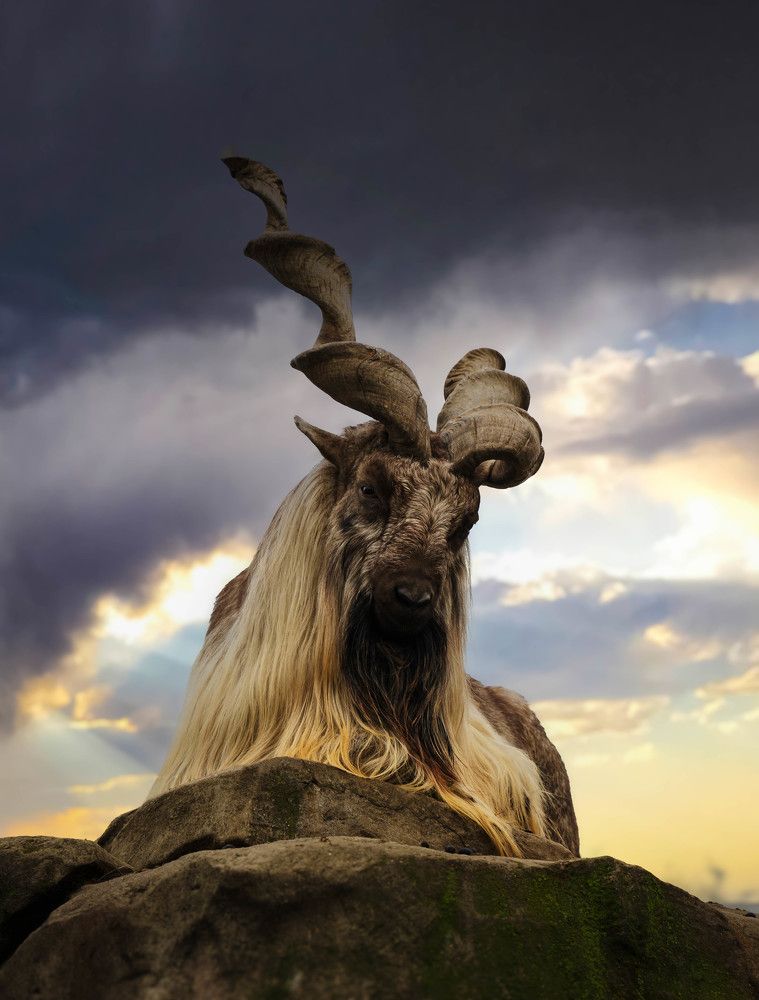 Photograph by Aleksandr Kolonsky