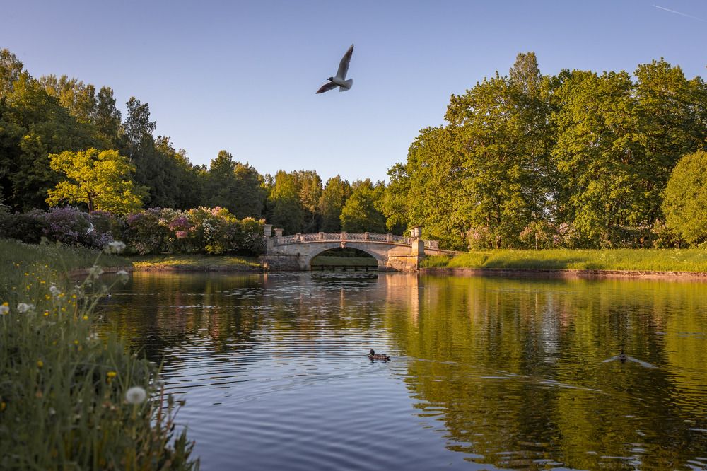 Photograph by Олег Дорошенко