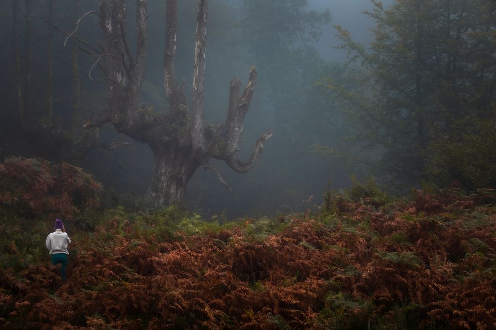 Photograph by Torres