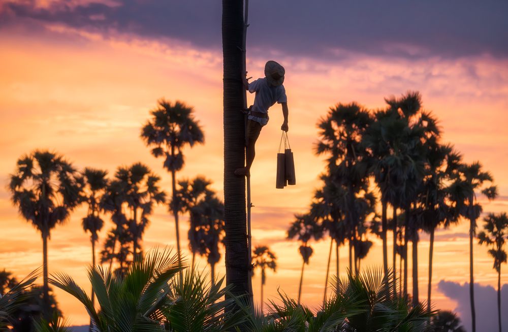 Photograph by Эрнест Вахеди