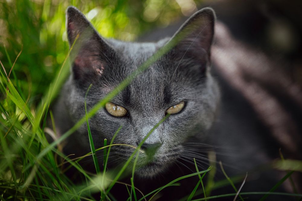 Photograph by Jasmina Ban