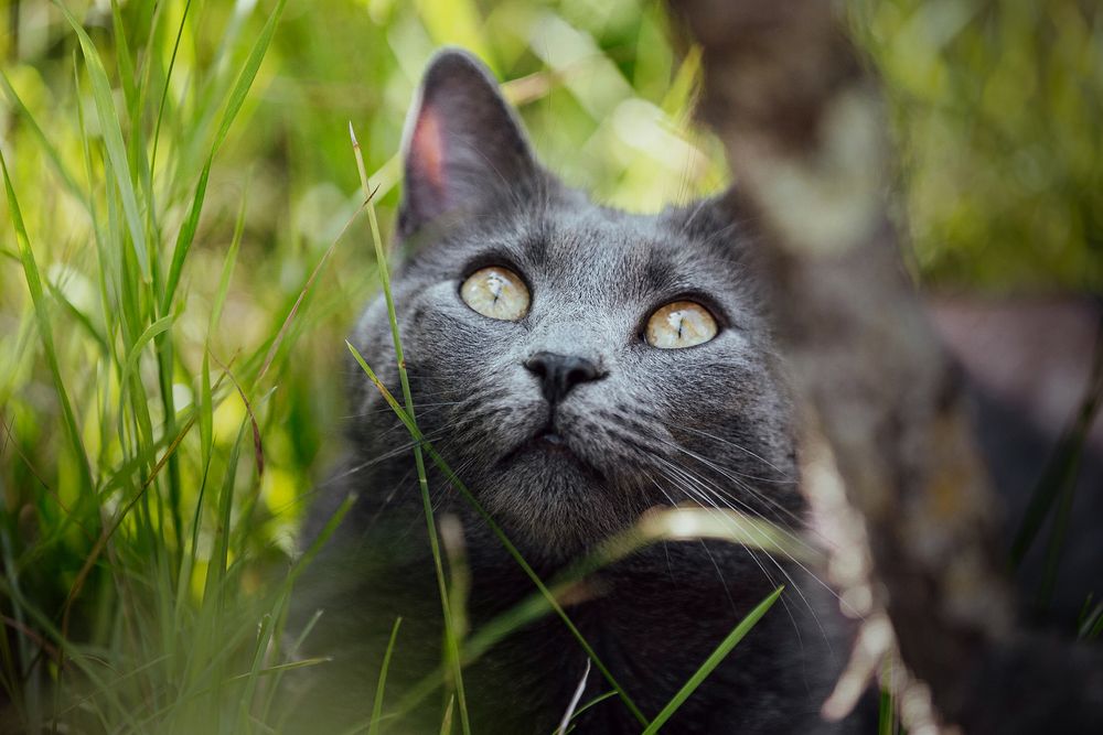 Photograph by Jasmina Ban