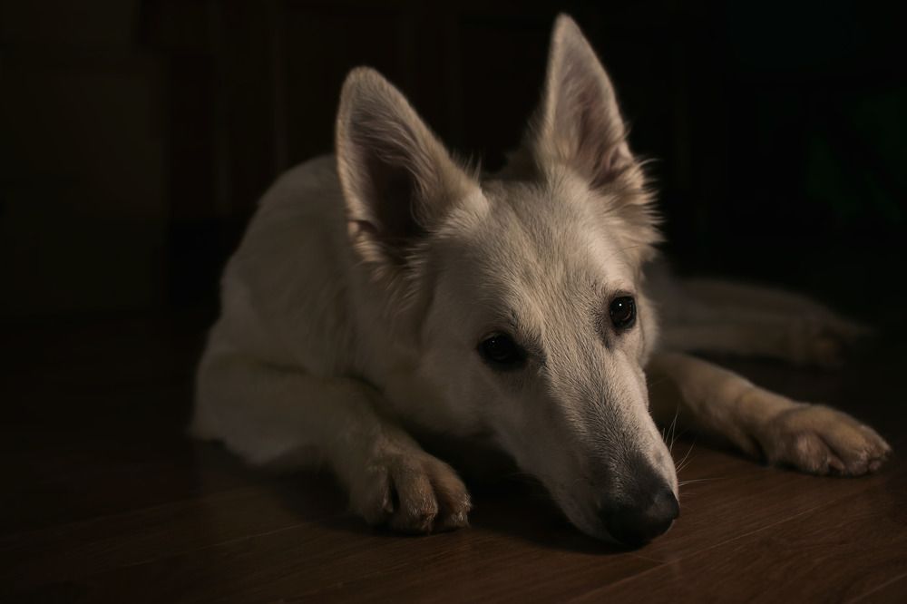 Photograph by Павел Зайцев