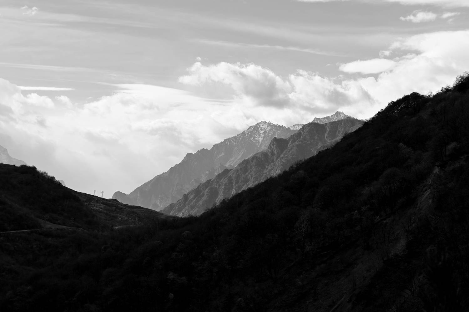 Photo #9879244