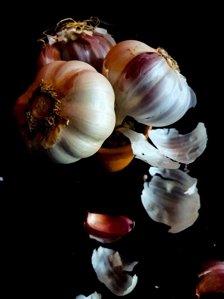 Photograph by adriana menez