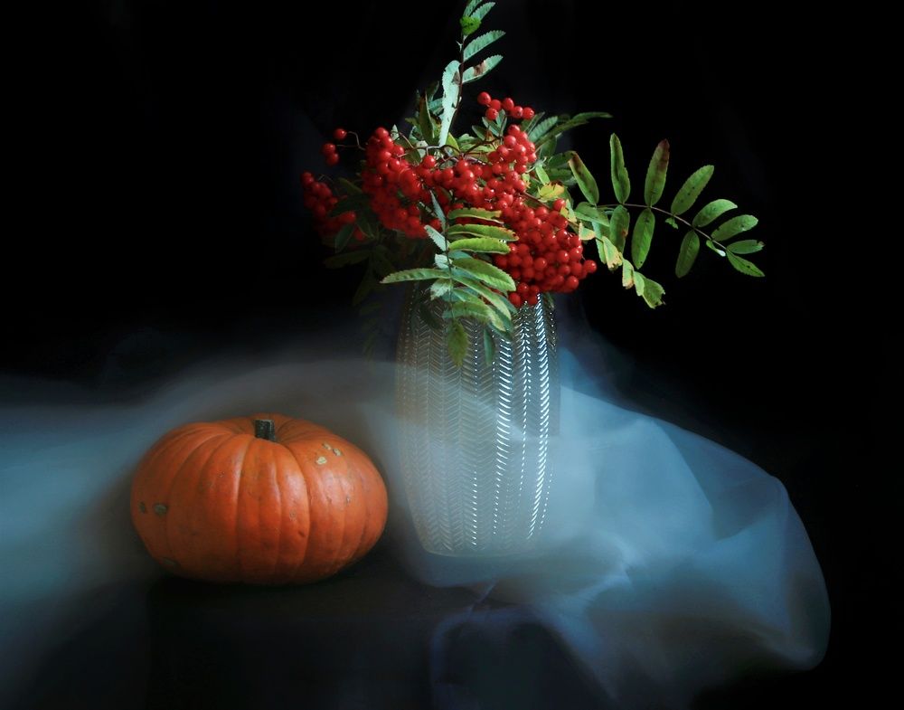 Photograph by Olga Asson