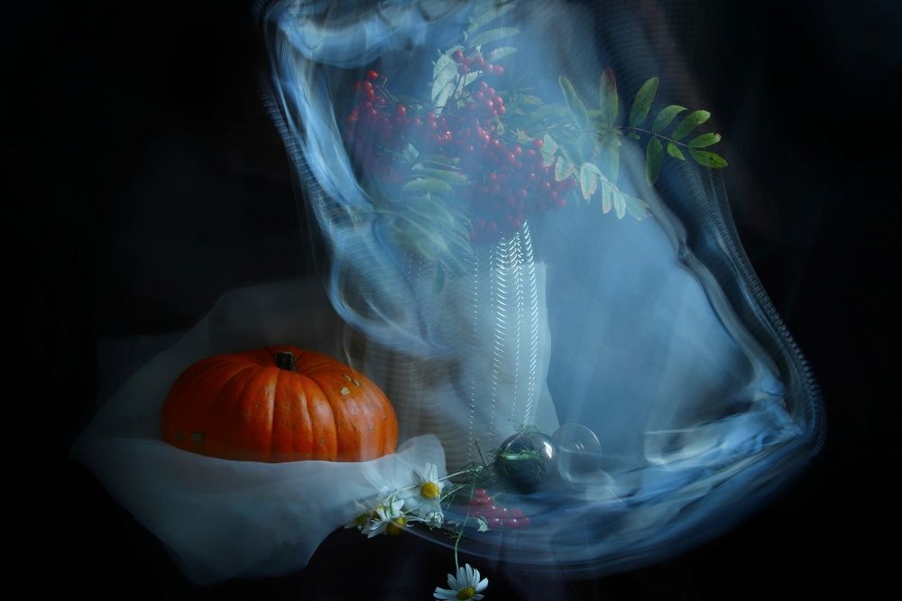 Photograph by Olga Asson