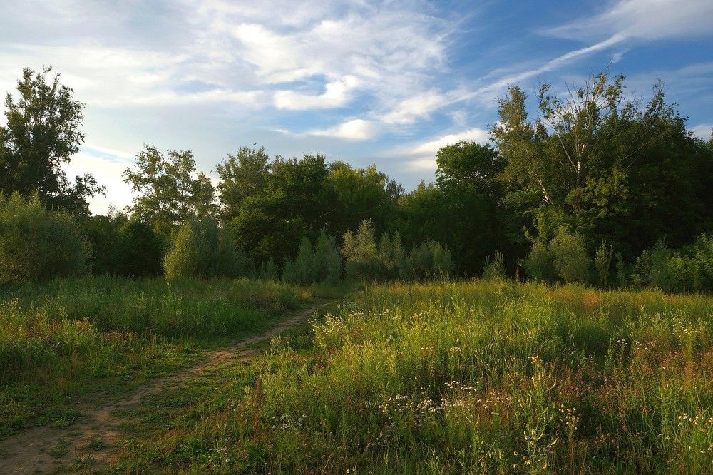 Июль, конец дня...