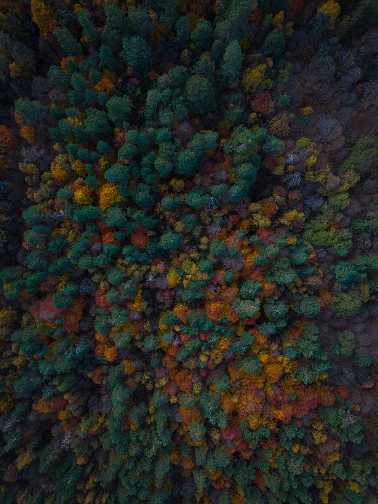 Photograph by Ахсарбек Магкеев