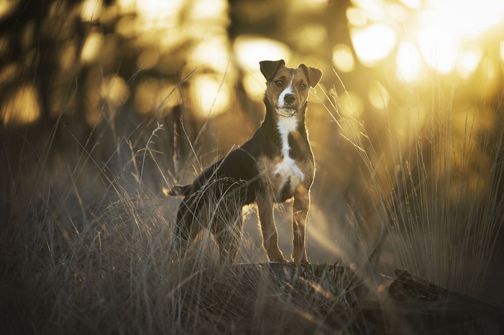 Photograph by Elke Braet