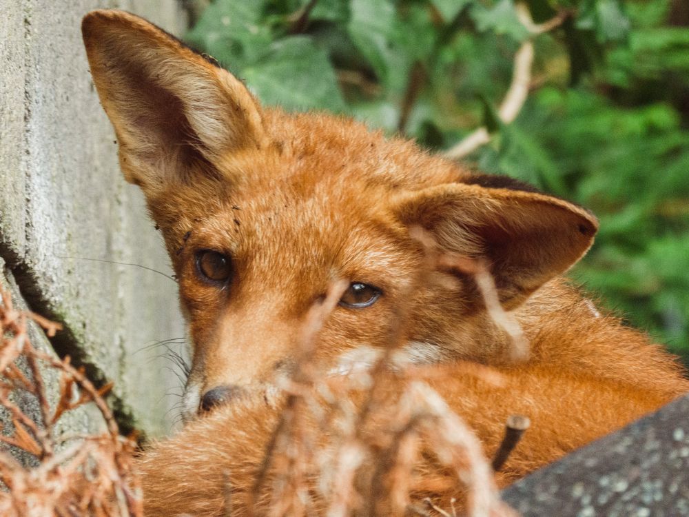 Photograph by Kseniia Baron