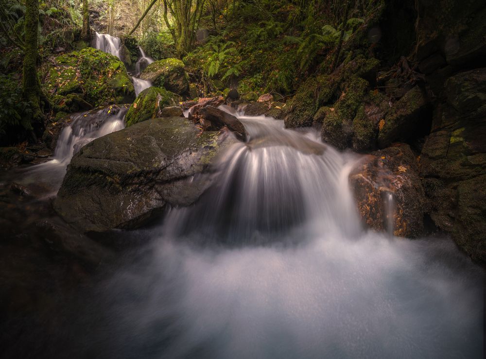 Photograph by Miguel Iglesias