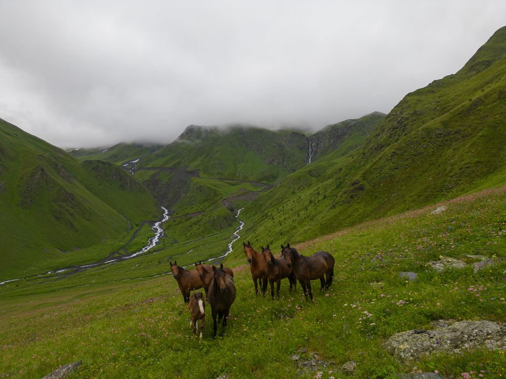 Photograph by Ахсарбек Магкеев