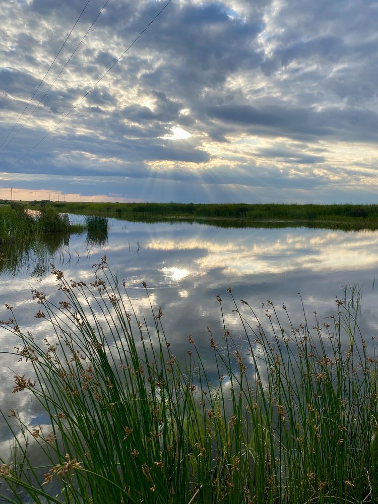 Photograph by Наталья Караулова