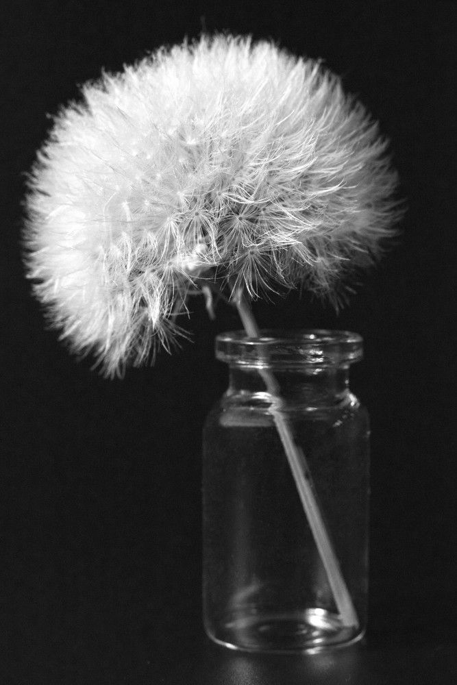 Фотография автора Анастасия Павловна