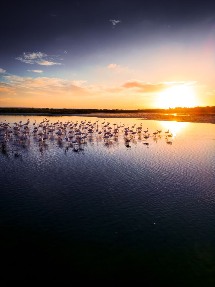 Photograph by marco pintore