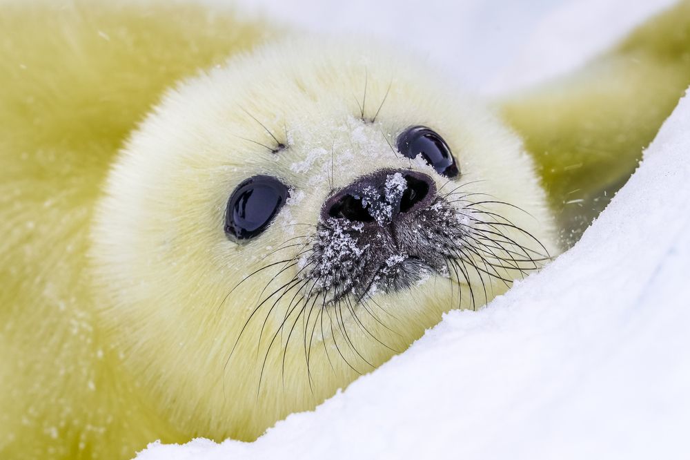 Photograph by Труханов Илья