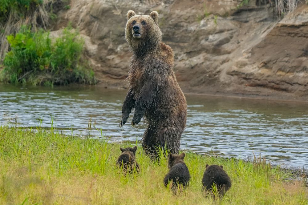 Photograph by Труханов Илья