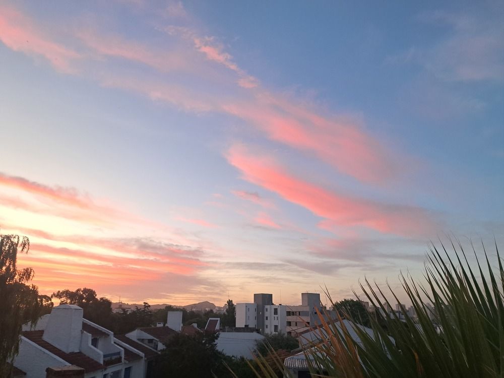 Фотография автора gustavo pecelis