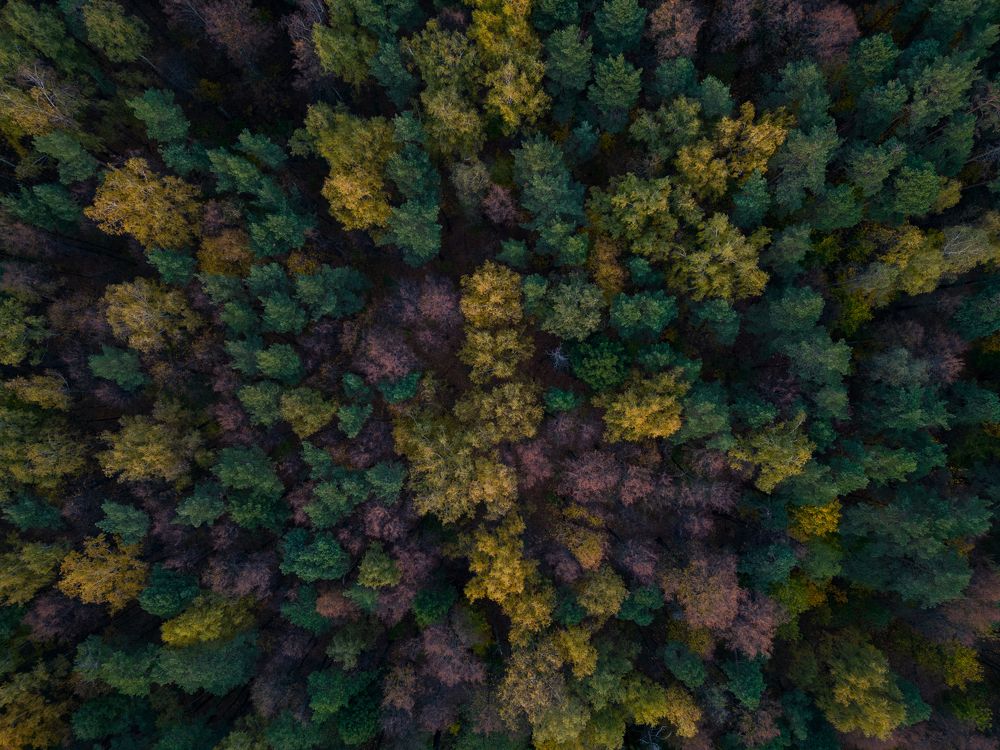 Фотография автора Сергей Старых