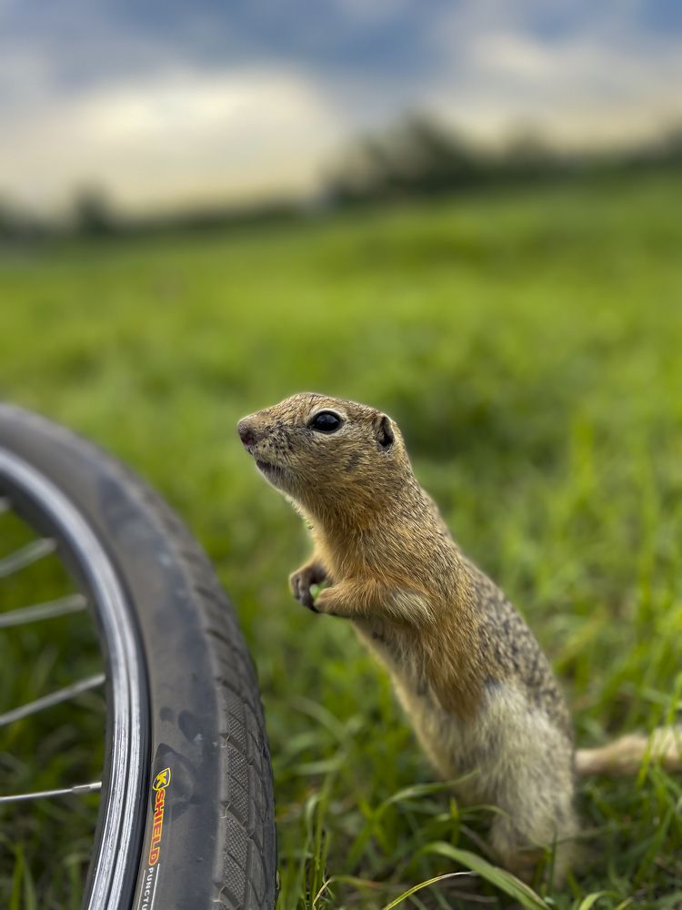 Photograph by Привалов Андрей