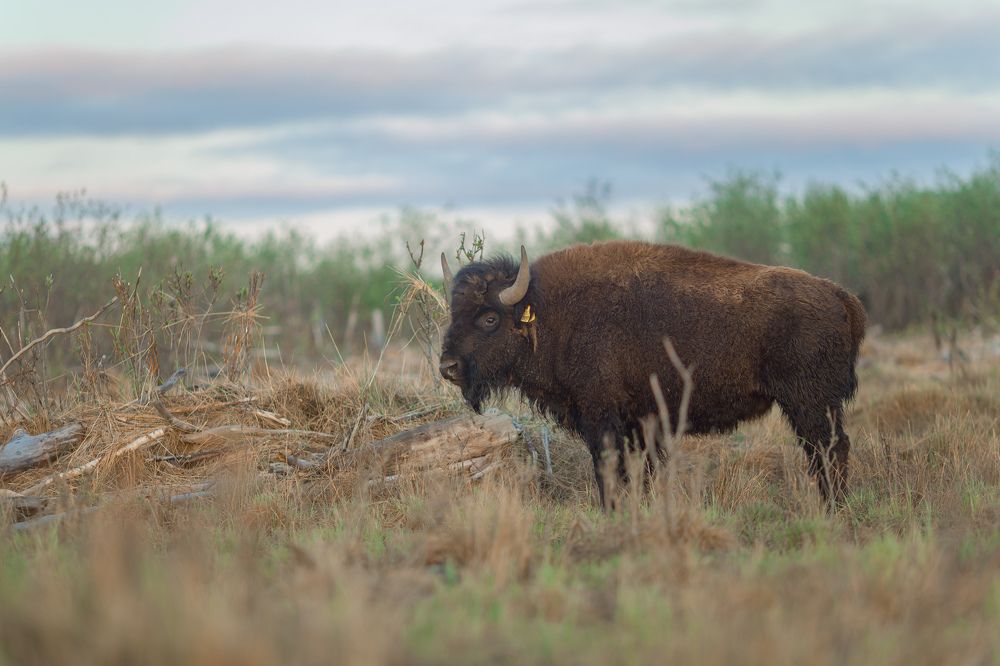 Photograph by Айрат Нугуманов