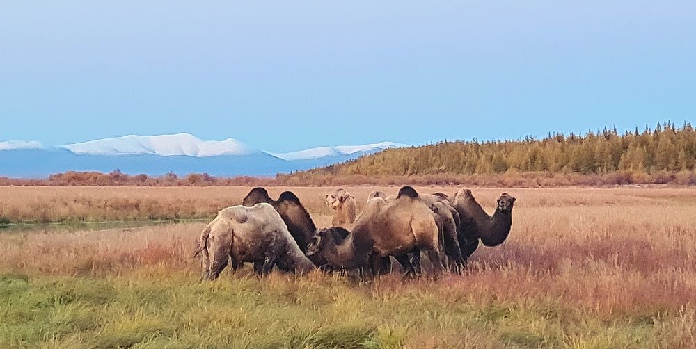 Photograph by Айрат Нугуманов