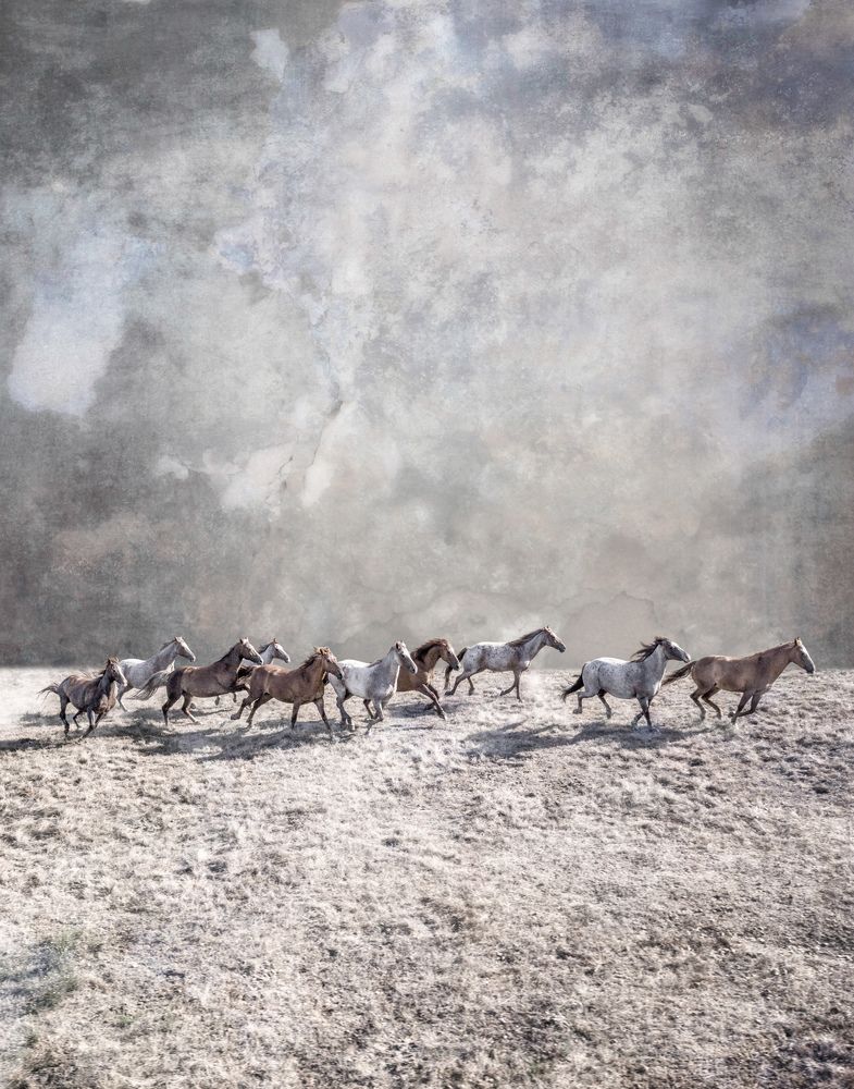 Фотография автора Matt Dusig