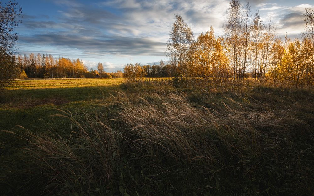 Окно в осень...