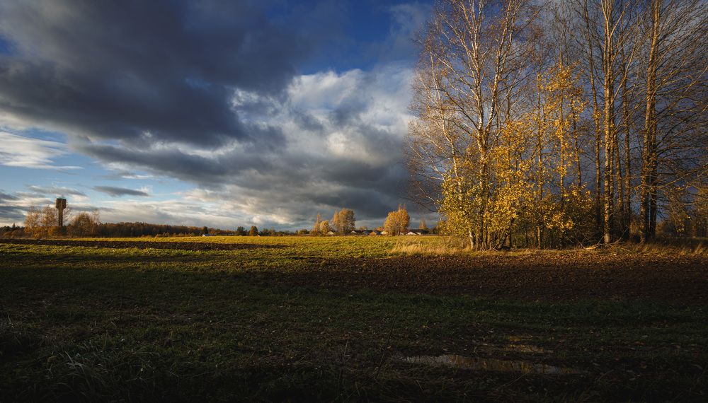 Прощальные краски осени...