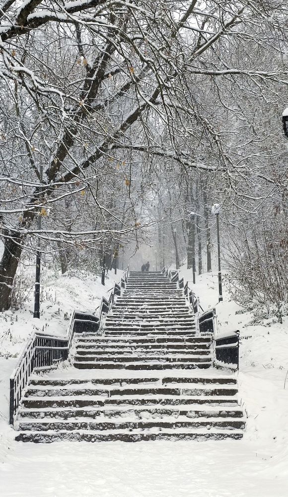 Photograph by Кадырова Анастасия