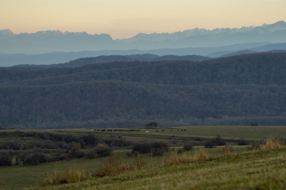 Photograph by Владислав Кулаков