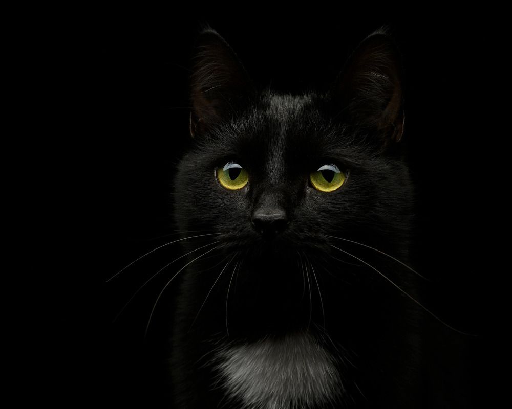 Photograph by Екатерина Рябкова