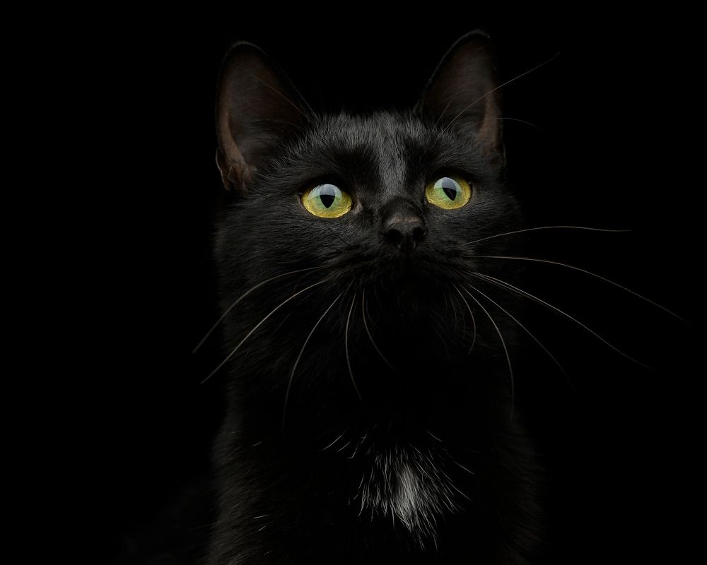 Photograph by Екатерина Рябкова